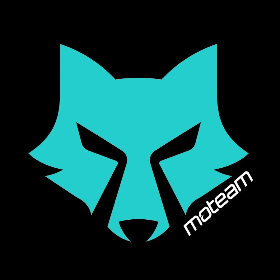 MoTeam – partner Majo Racing School